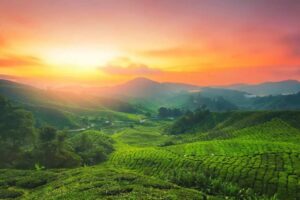 munnar-tourist-places