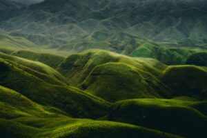 Dzukou-Valley-Kohima-Nagaland