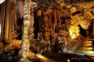 africamps-boutique-glamping-south-africa_blog_8