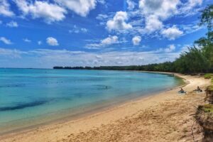 dsc-1857-01-largejpg