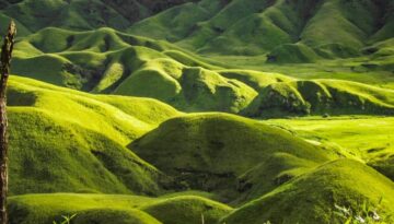 Nagaland