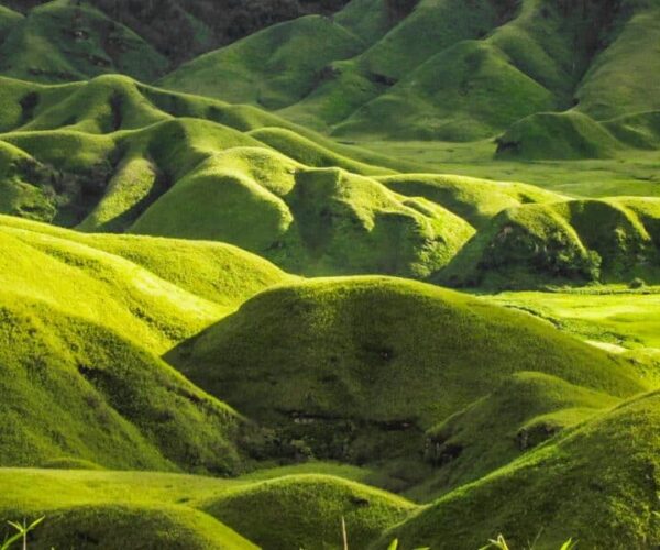 Nagaland