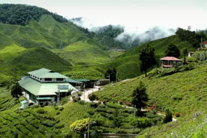 cf7d6ba5-aa48-4c0b-849d-7ac6851d4fe8